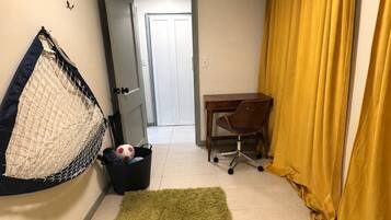 A room with a green rug, a desk, a chair, a hanging net, and a door leading to another room.