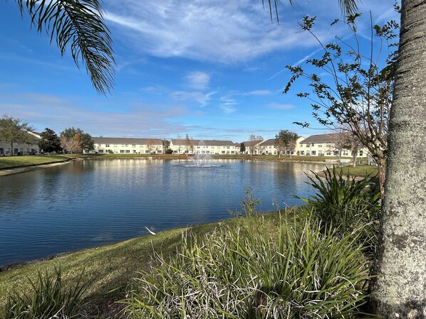 Property grounds - ★12Mins to Disney Theme Parks- Save 25pct Off Stay- Pool- 3BR Condo-Sleeps 10★ (Kissimmee)