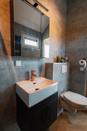 Shower, eco-friendly toiletries, hair dryer, soap - New Luxury Lodge with Meadow View - near National Park Drents-Friese Wold! (Hoogersmilde)