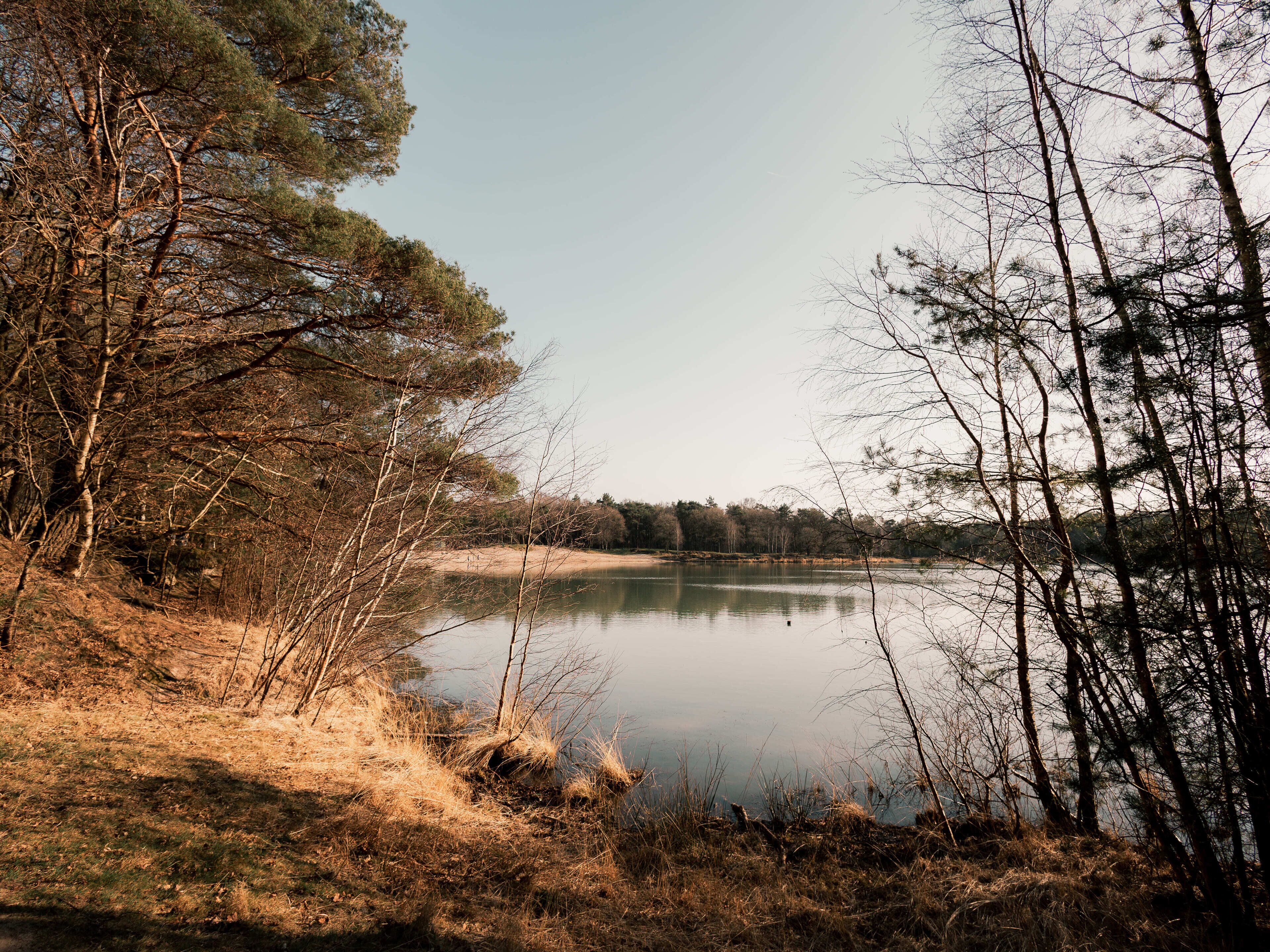 Un paysage naturel comprenant un lac, des arbres et une zone herbeuse.