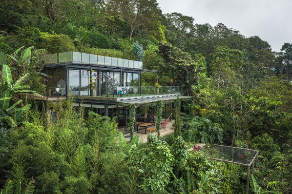 Una casa moderna con fachada de vidrio, rodeada de densa vegetación tropical.