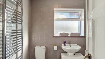 Shower, hair dryer, bidet, towels