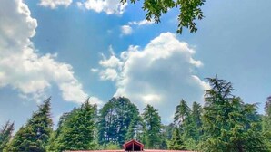 A two-story wooden cabin with a balcony, surrounded by dense forest. - Shangarh Kothi (Sainj)