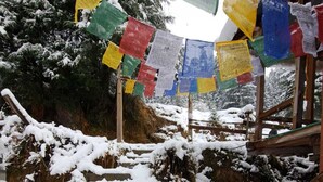 A snow-covered staircase leading up to a building with colorful prayer flags hanging above. - Shangarh Kothi (Sainj)