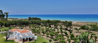 Verdemare in relaxation      