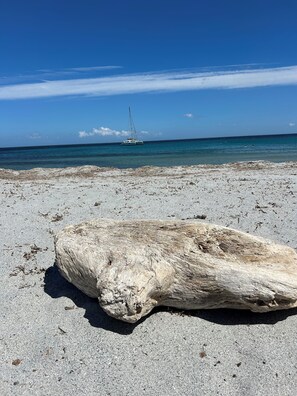 A sandy beach with a large piece of driftwood in the foreground and a sailboat in the distance.