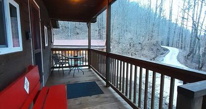 Cozy & Efficient cabin w/ river access. Pet Friendly!