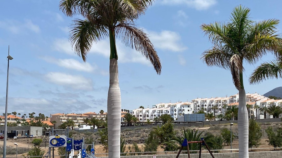 Apartment in Tenerife With Sea Views