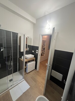 Shower, hair dryer, bidet, towels