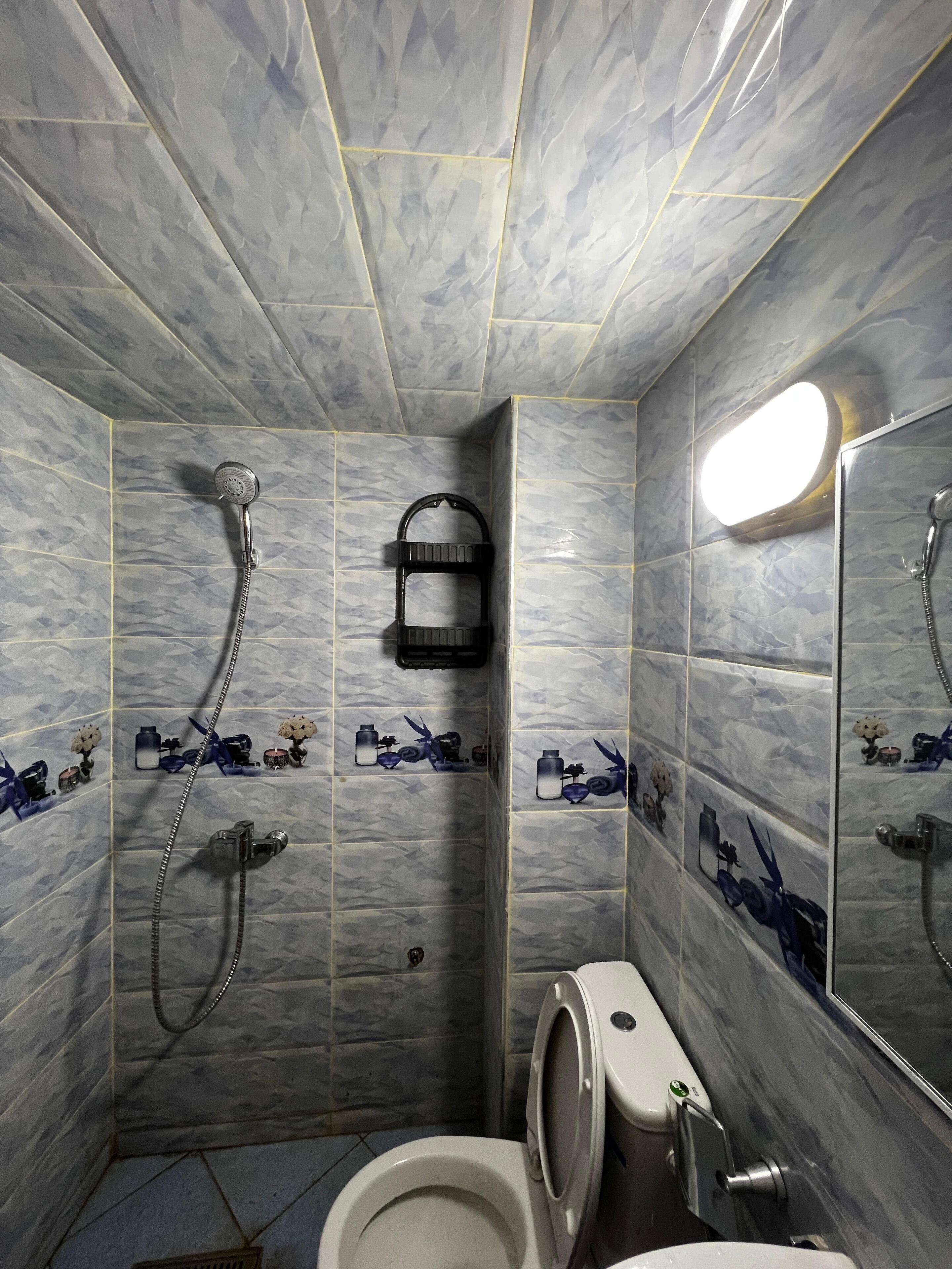 Ein Badezimmer mit Toilette, Dusche und Waschbecken.