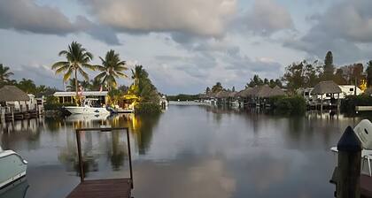 The Newly Renovated Couples Retreat in Key Largo , Pool beach , and Marina