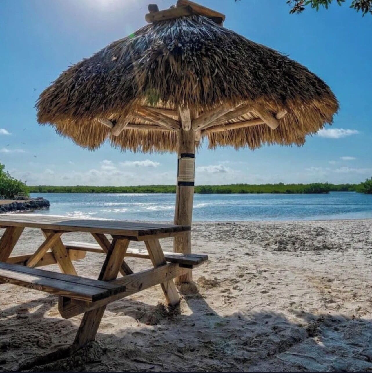 Une plage avec une table de pique-nique en bois et un parasol en chaume.