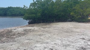 A sandy beach with dense green foliage in the background. - The Newly Renovated  Couples  Retreat in Key Largo , Pool  beach , and Marina  (Key Largo)
