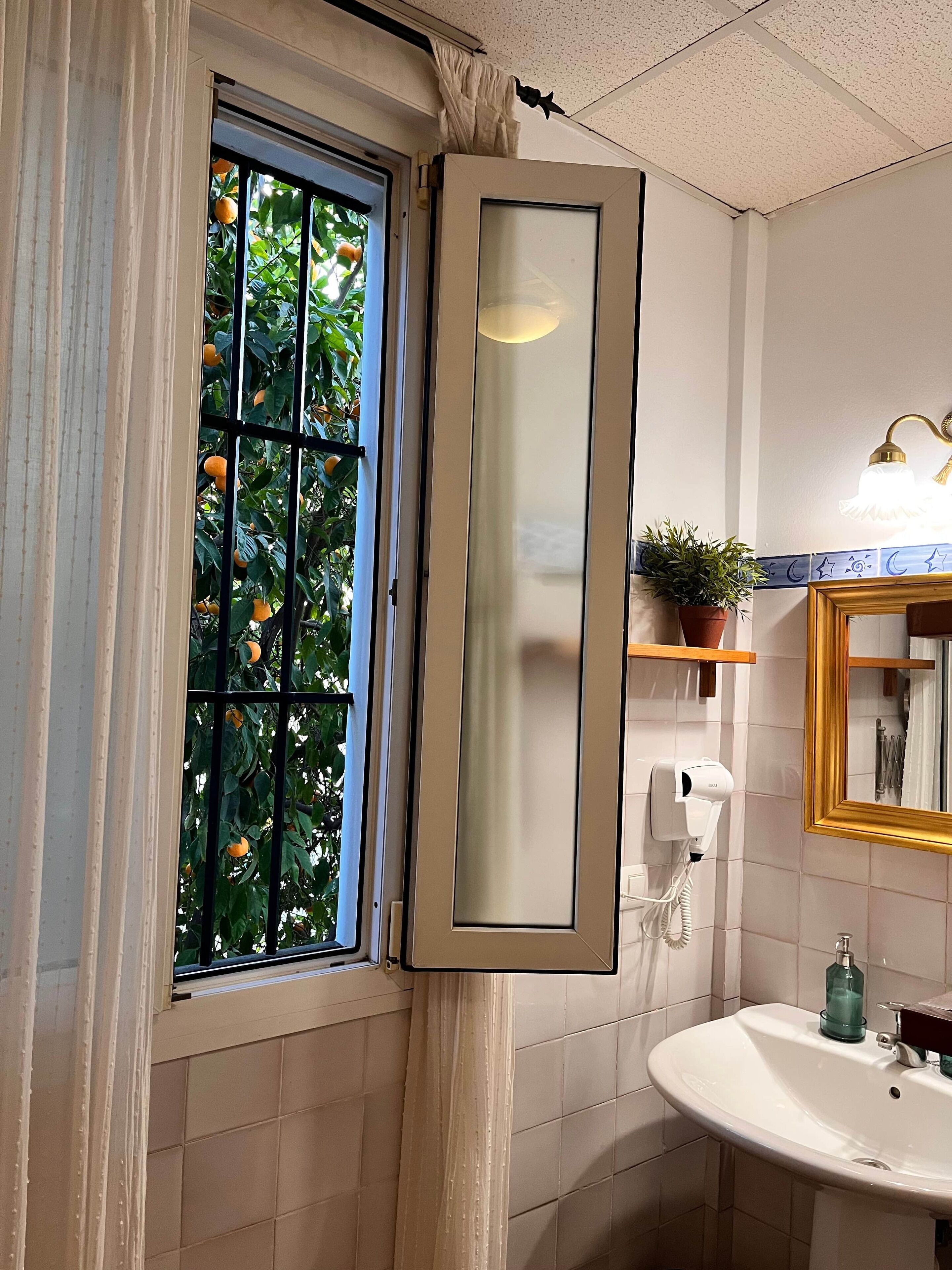 Douche, séchoir à cheveux, bidet, serviettes fournies