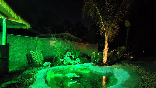 Een buitengebied bij nacht met een klein zwembad, groene verlichting, een palmboom en een constructie met rieten dak.
