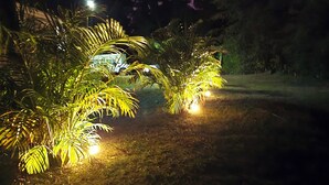 Een pad omzoomd met palmbomen, verlicht door lampen, dat door een tuin leidt.