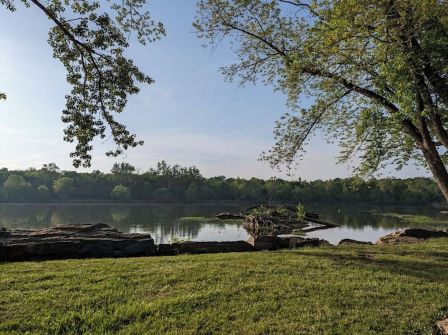 Une vue paisible sur un lac, avec un pré verdoyant au premier plan, un lac calme et une forêt en arrière-plan.