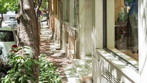 Un trottoir étroit, bordé d’arbres, avec une rangée de bâtiments dotés de grandes fenêtres et un mannequin visible dans l’une d’elles.