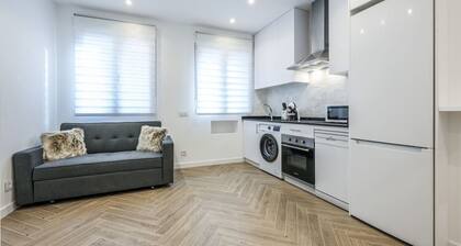 Urban Tranquility in Madrid with Modern Comforts