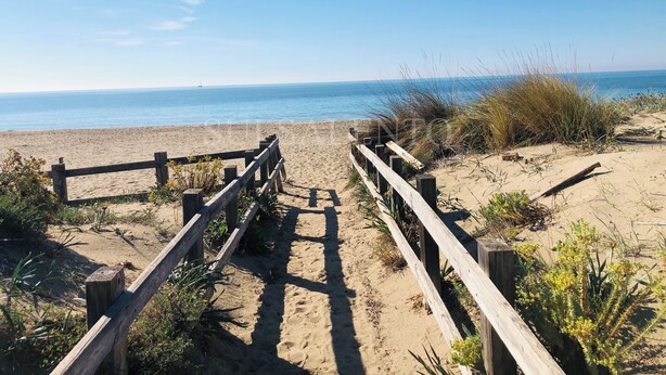 Un sendero de madera conduce a una playa arenosa con vista despejada al océano.