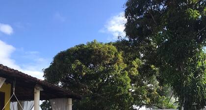 Mosqueiro House Season