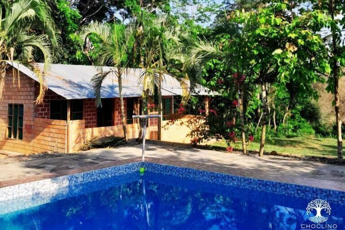 A pool area with a tiled edge, surrounded by lush greenery and a building with a sloped roof.