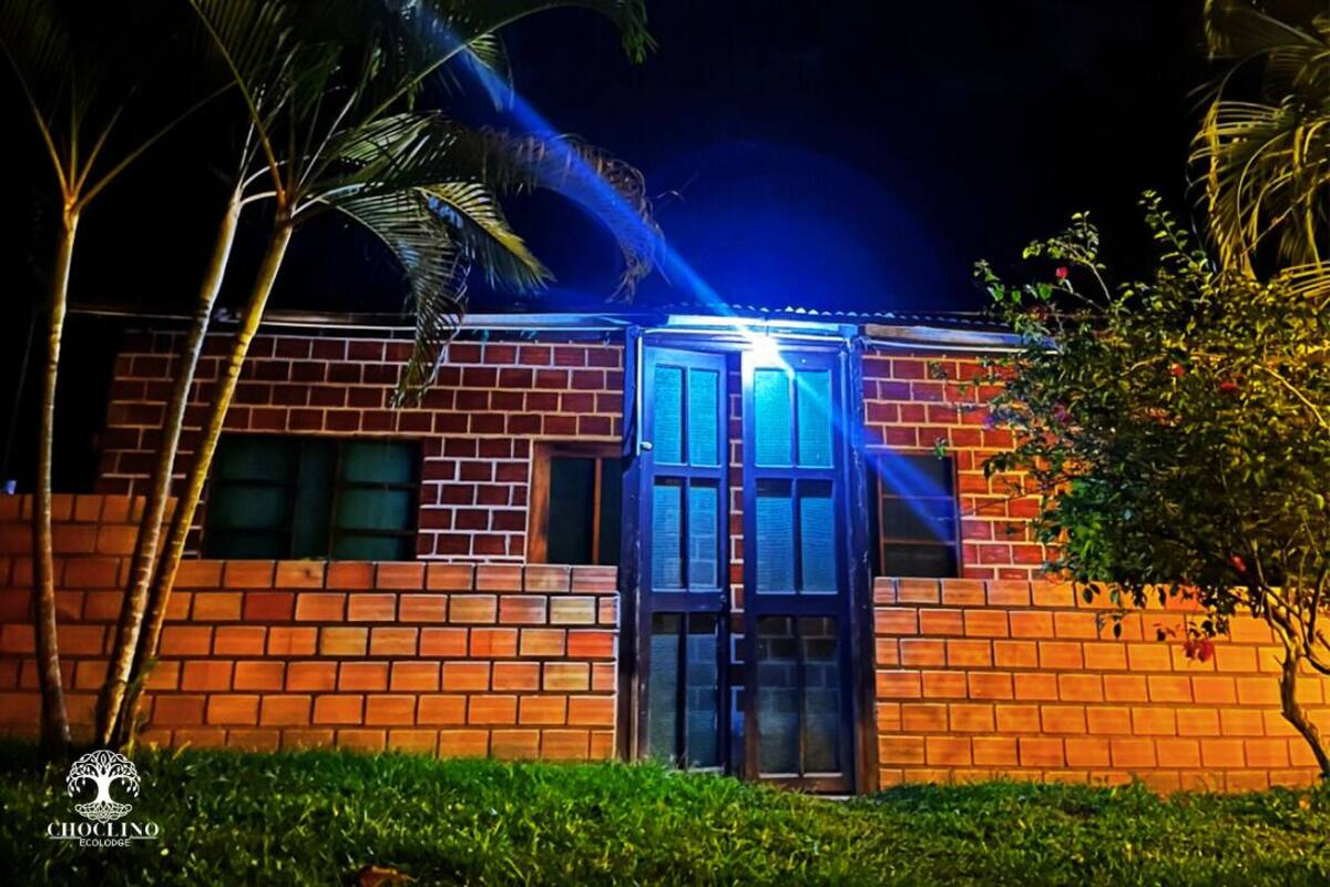 A brick building with a glass door entrance, surrounded by palm trees and greenery.