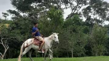 Una persona monta un caballo blanco en una zona cubierta de hierba, con árboles al fondo.