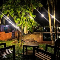 Zona de estar al aire libre con mesas y bancos, rodeada de follaje y palmeras, bajo luces colgantes.