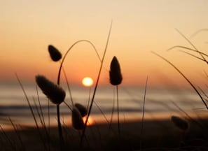 Beach nearby, beach towels