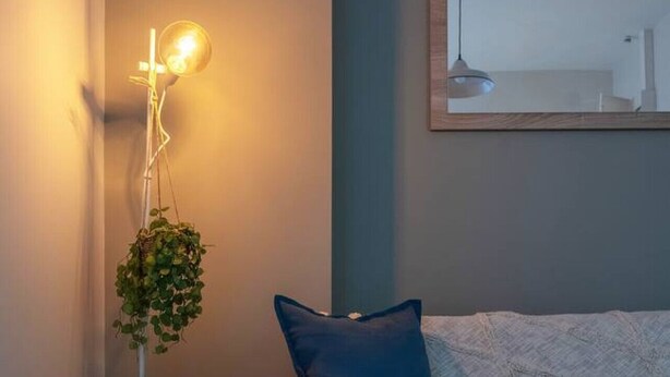 Una sala de estar moderna con un sofá gris oscuro, un cojín azul, una lámpara de pie con una planta colgante y un cuadro en la pared.