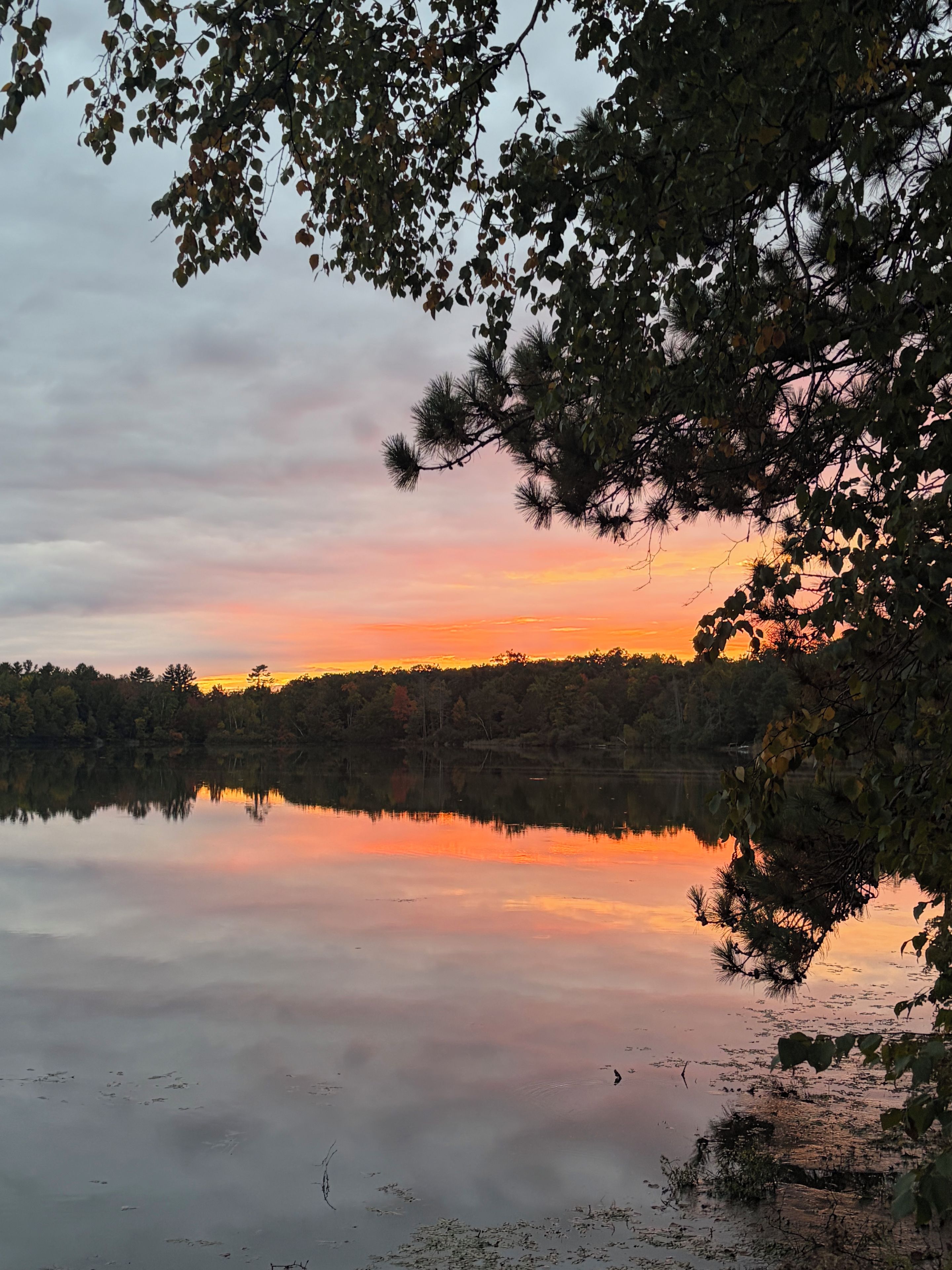 A calm lake reflecting a sunset sky with trees in the foreground.
