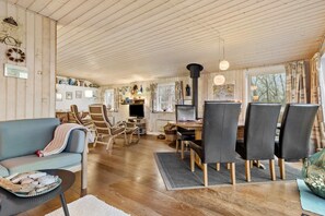 TV connectée, cheminée, lecteur de DVD