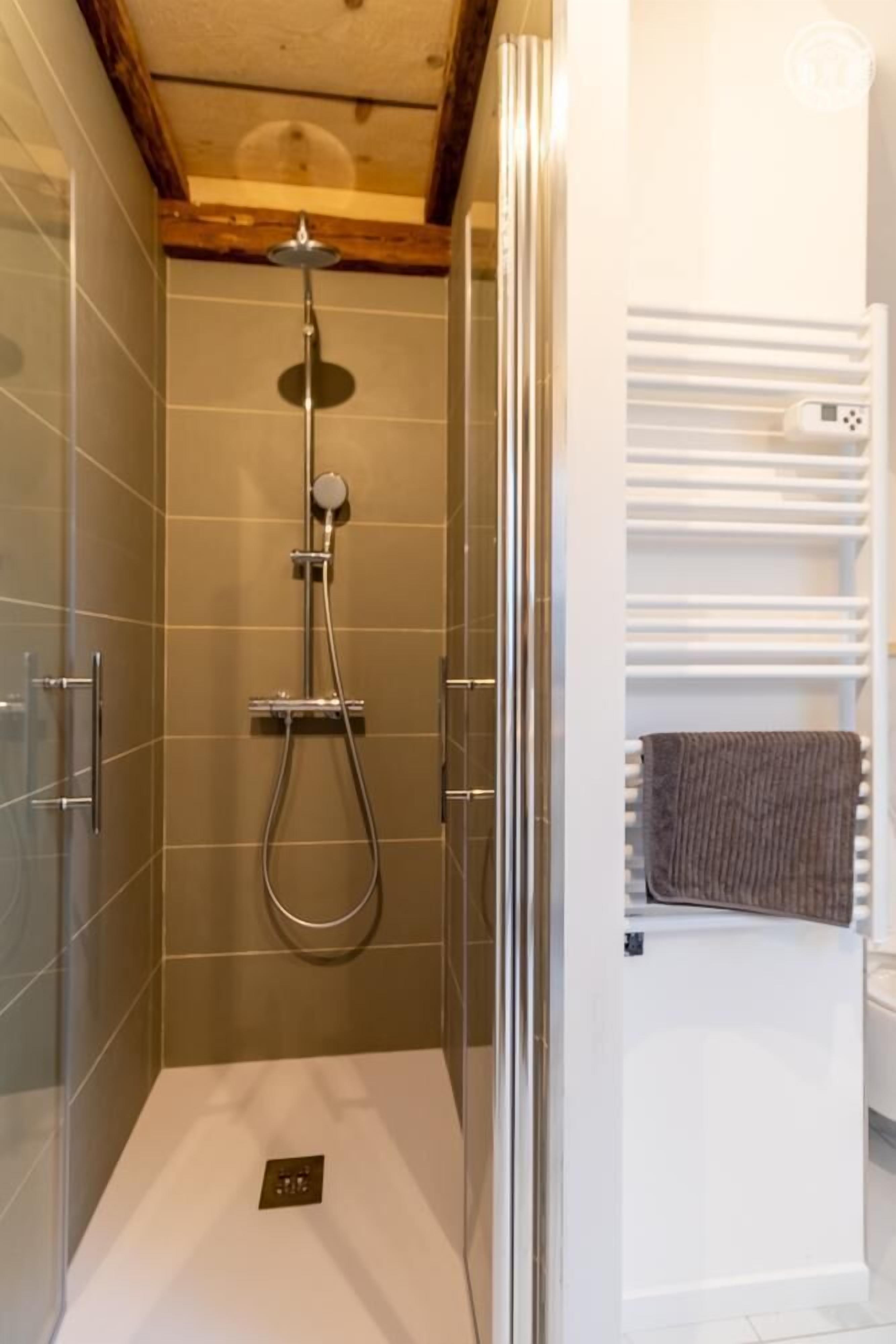 A shower with a glass door, a towel rack, and a white radiator.