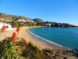 Une plage côtière avec un rivage sablonneux, une eau d’un bleu limpide et, en arrière-plan, des immeubles résidentiels situés sur une colline.