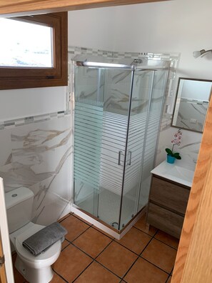 Shower, towels, toilet paper