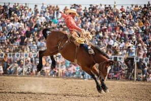 Unclassified image, 4 of 49, button