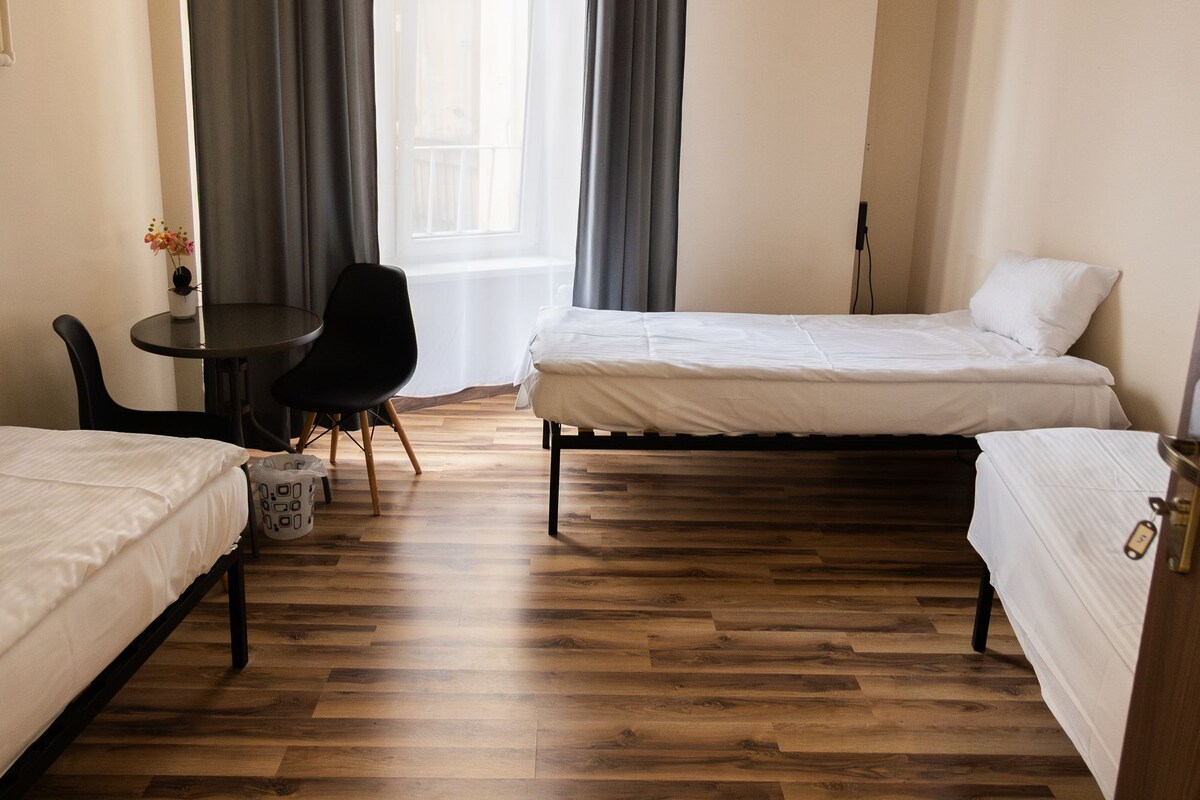 Triple Room | Iron/ironing board (on request), WiFi (free), bed sheets