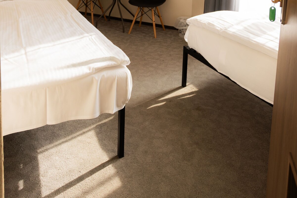 Iron/ironing board (on request), WiFi (free), bed sheets