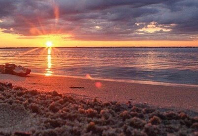 Wet Feet Retreat in East Tawas- Dog-Friendly!