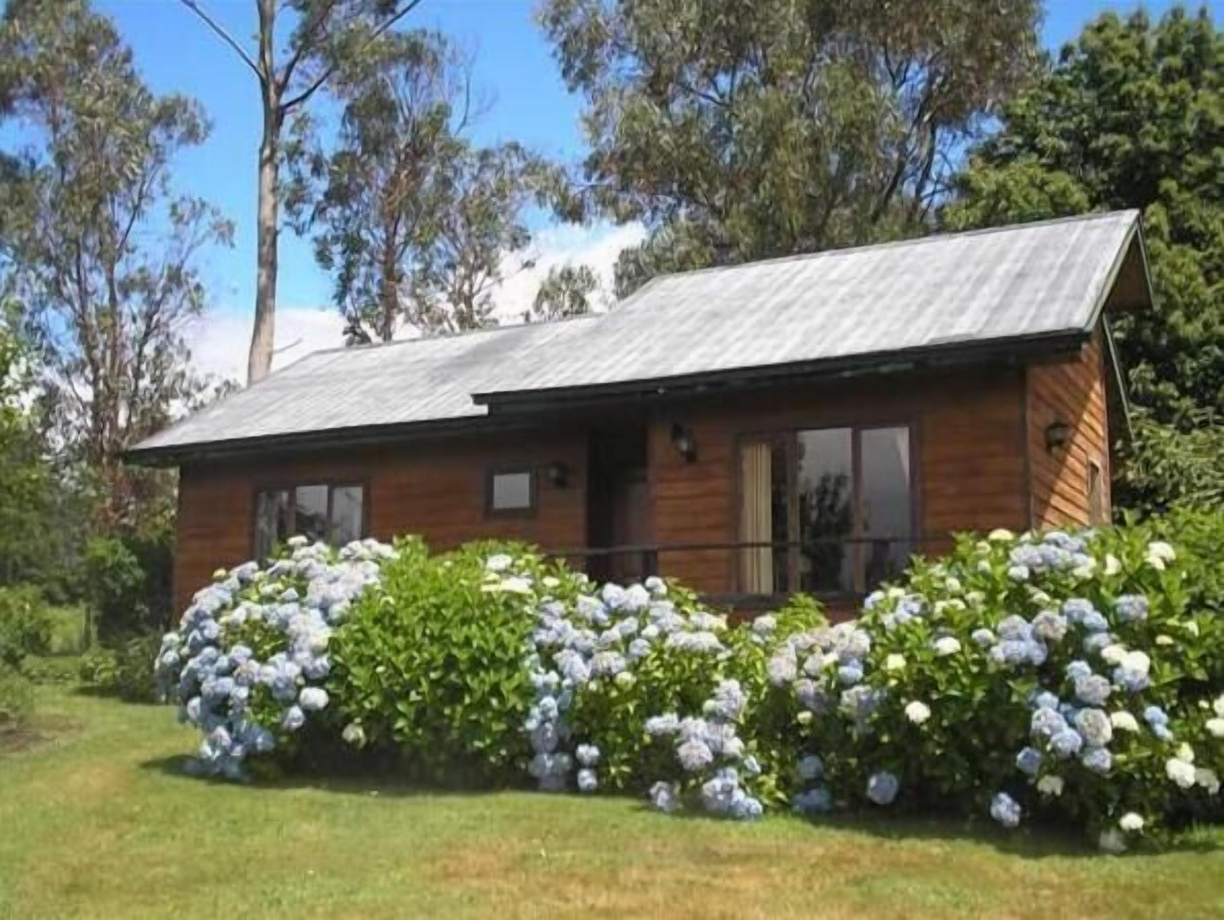 A wooden cabin with a sloped roof, surrounded by lush greenery and white flowering bushes.