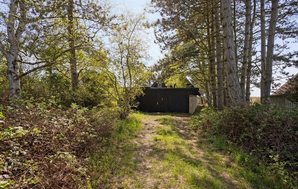 Una cabana apartada envoltada per un bosc dens, accessible a través d'un camí rural estret.