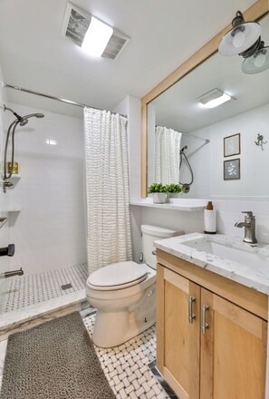 Shower, hair dryer, bidet, towels