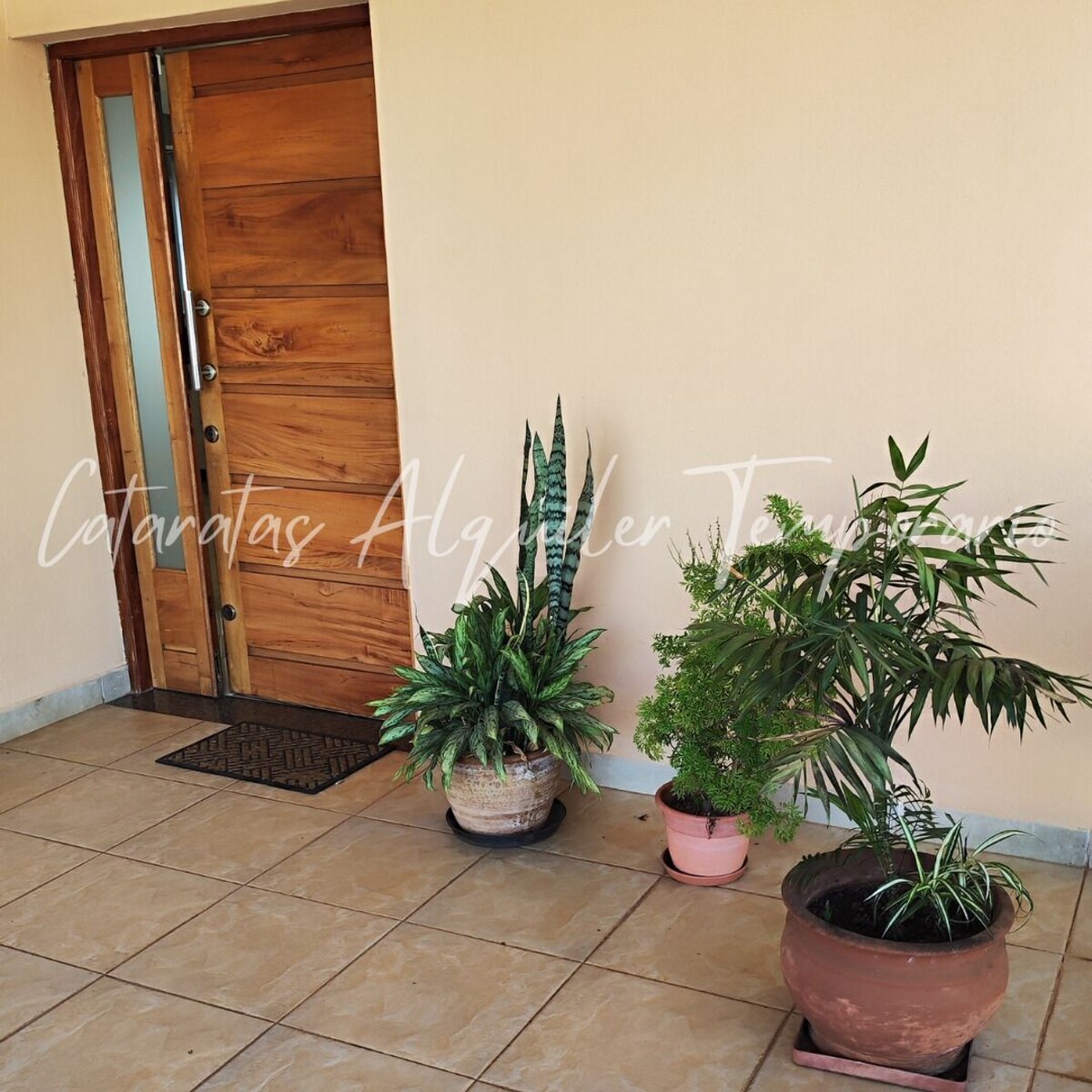 Image de profil de l’hôte