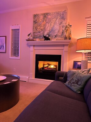 Smart TV, fireplace, video games, books