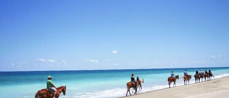PĂ„ stranden