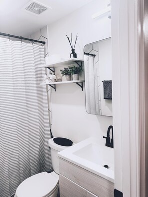 Hair dryer, bidet, towels, soap