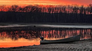 Un bote sobre un lago congelado, con un bosque al fondo.