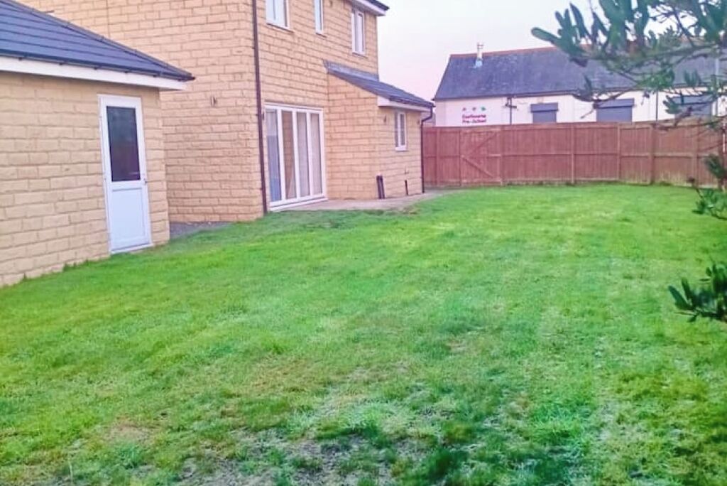 A residential backyard with a brick house, a wooden fence, and a grassy lawn.