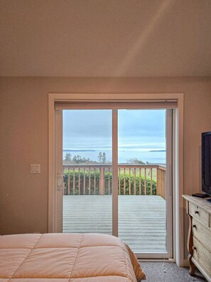 2 bedrooms, desk, iron/ironing board, travel cot